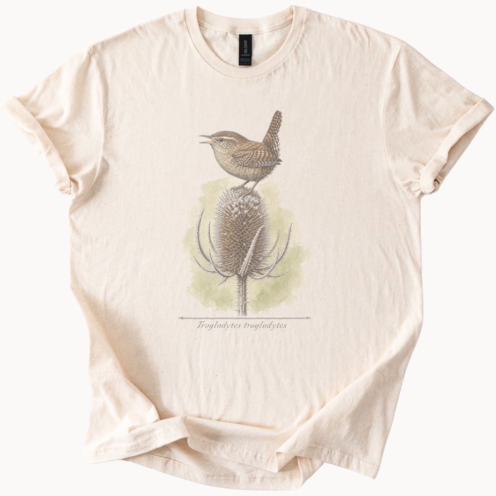Troglodytes Troglodytes Wren Singing atop a Spiny Seed Head Tee
